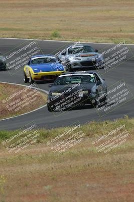 media/May-04-2024-Lucky Dog Racing (Sat) [[d39539b3f3]]/Race Pics/1015am (Turn 2)/